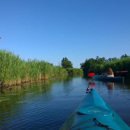 B&B De Zilverreiger Belt-Schutsloot Extérieur photo